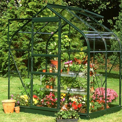 6x4 green greenhouse with glass glazing on a lawn