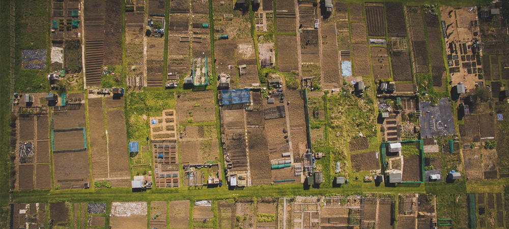 allotments view from above