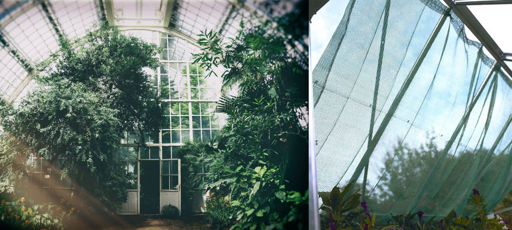How to Shade a Greenhouse