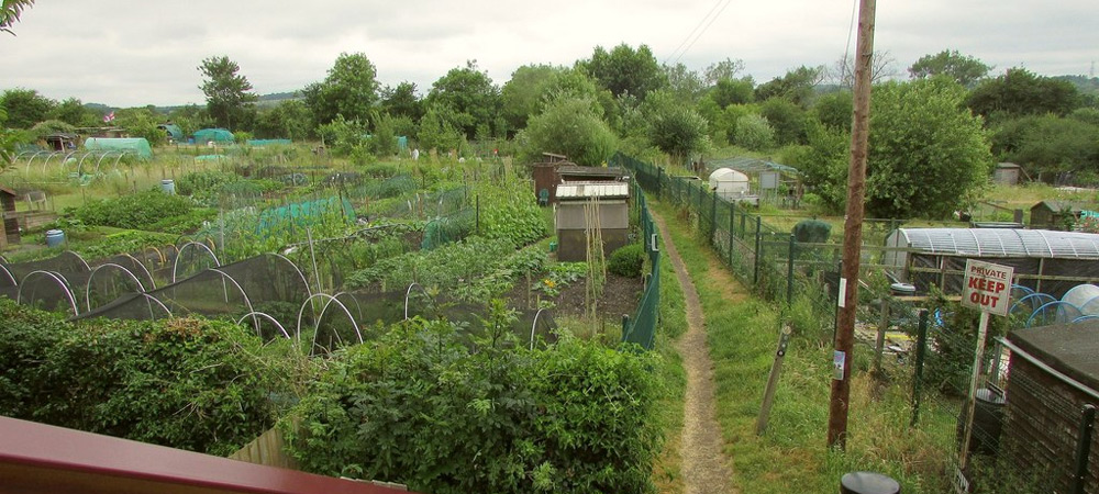 paths on allotment