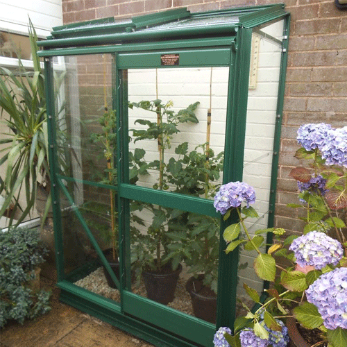 2x4 Elite Easygrow Lean To Greenhouse