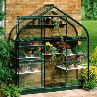 Halls Supreme Wall Garden