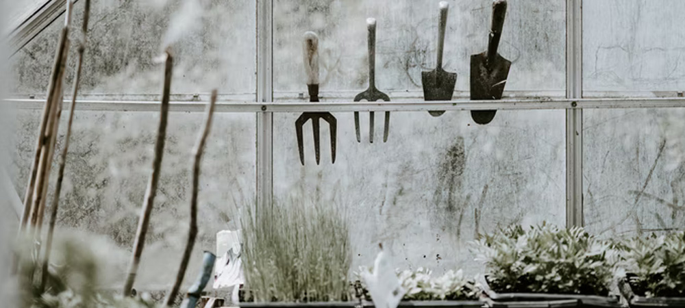 greenhouse in the winter frost