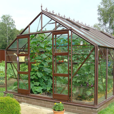Large brown aluminium greenhouse with plants growing