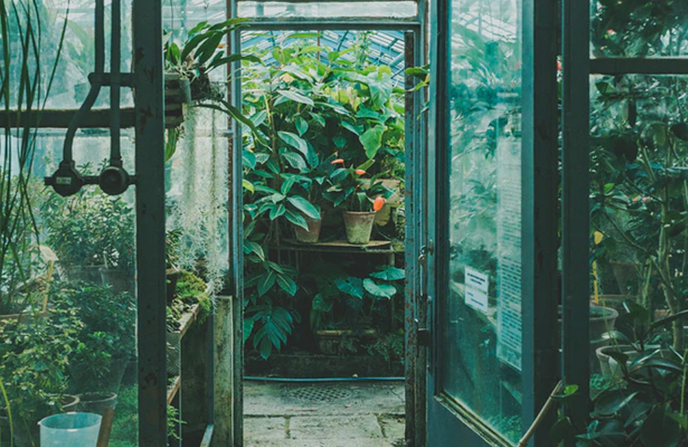 How To Heat Your Greenhouse in Winter