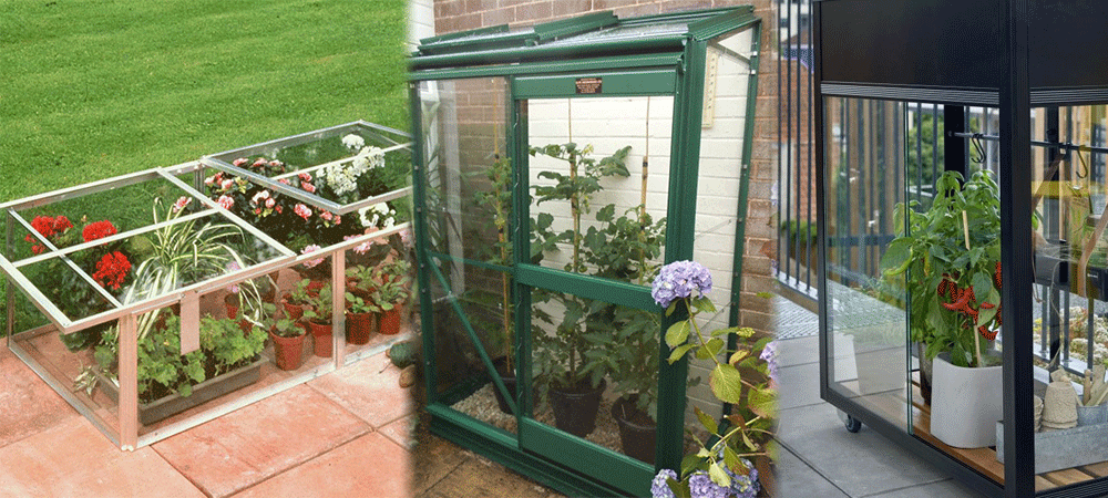 best mini greenhouses