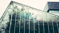Big Plans for a Big Greenhouse