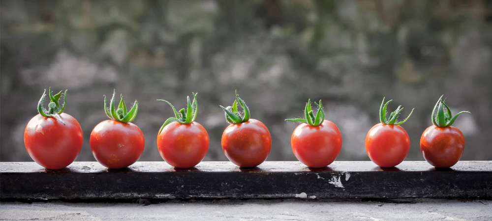 cherry tomatoes on a wall