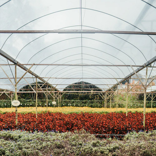 What is a Greenhouse? Greenhouse Definitions & History