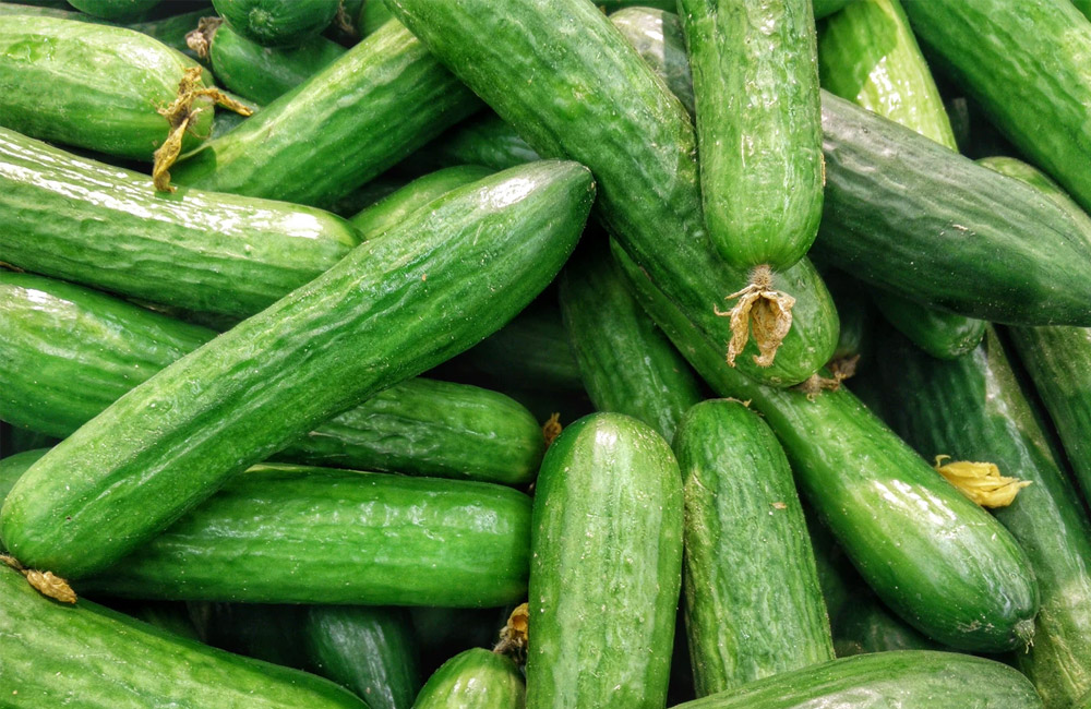 cucumbers