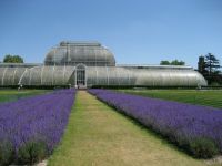 British Glasshouses - Shatteringly Good!