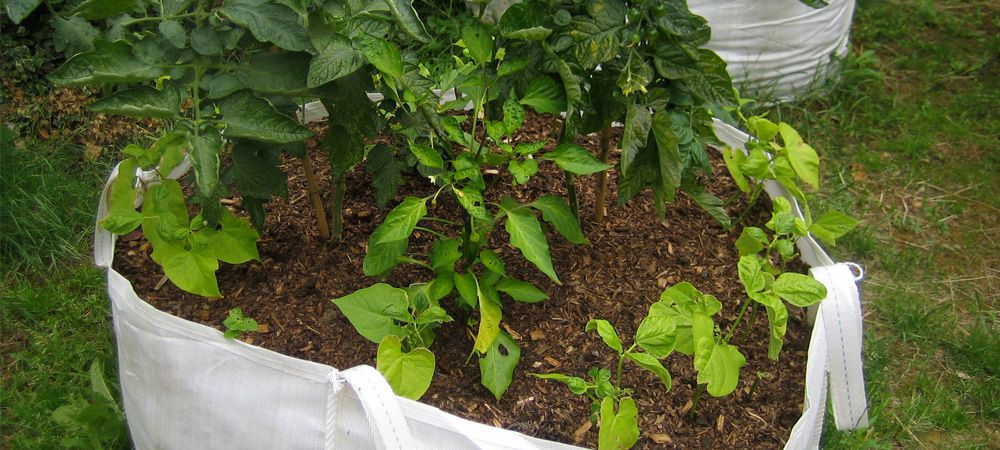Grow bags sales uk