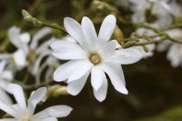 What To Do In April