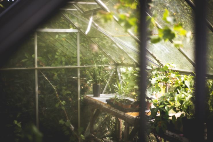 metal greenhouse