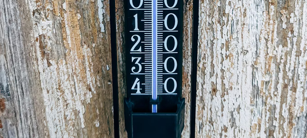 How to Choose a Greenhouse Thermometer