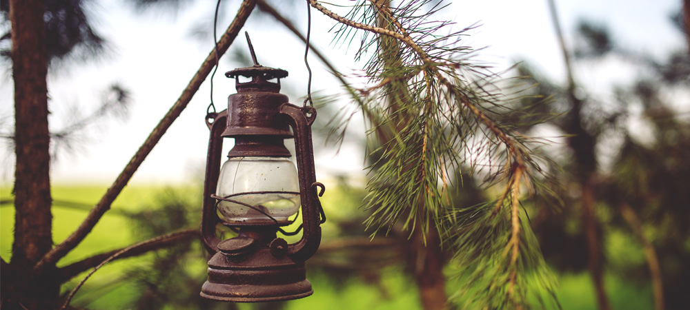 paraffin heater on tree