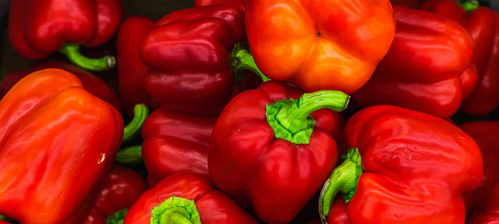 How to Grow Peppers in a Greenhouse