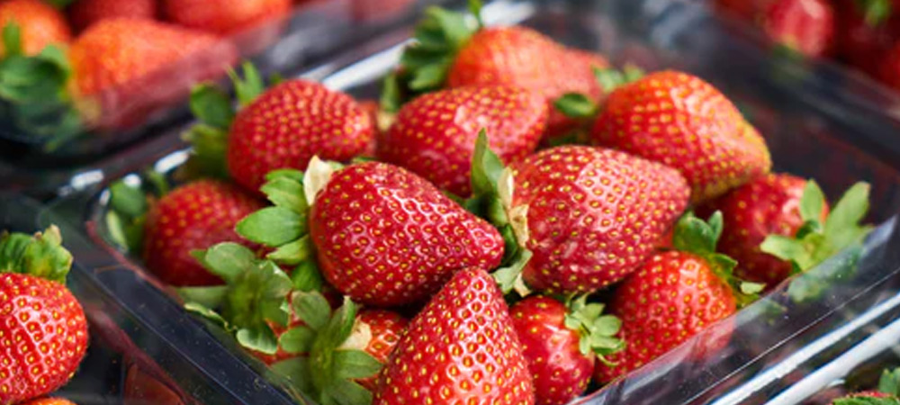 strawberries in punnet
