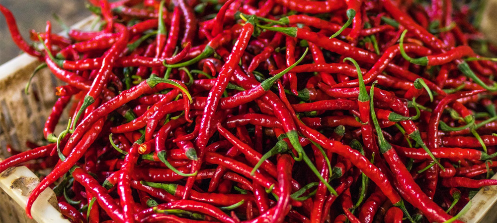 thai red chillies