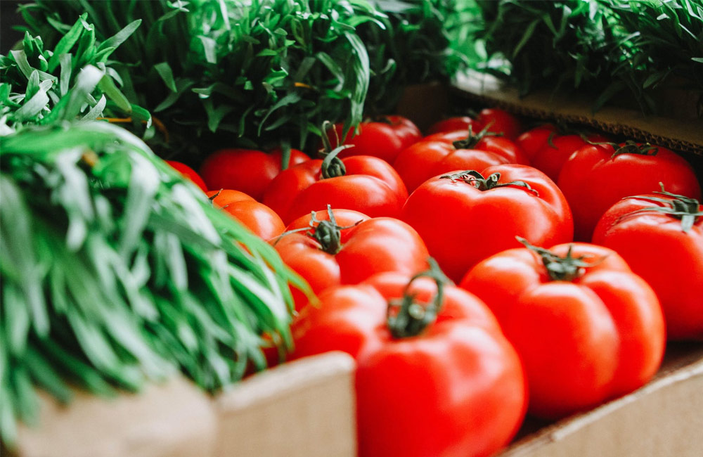 When to Plant Tomatoes in an Unheated Greenhouse