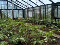 Lean To, Wall Garden or Walk In Greenhouse?