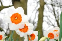 What To Do In March