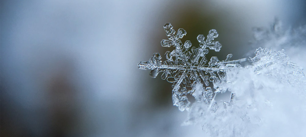 winter icicle blurred background