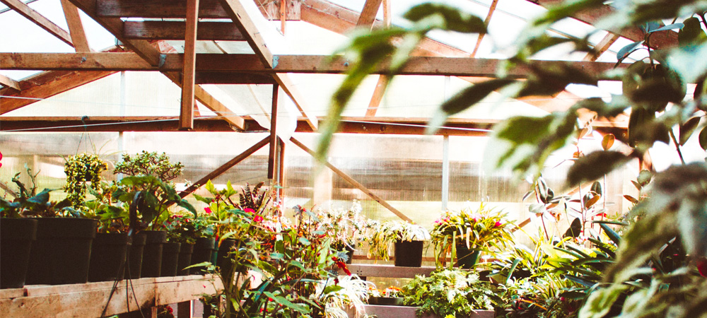 wooden greenhouse brown top