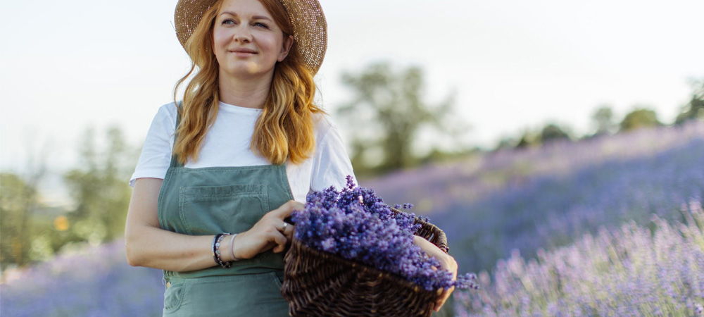 women carrying lavender