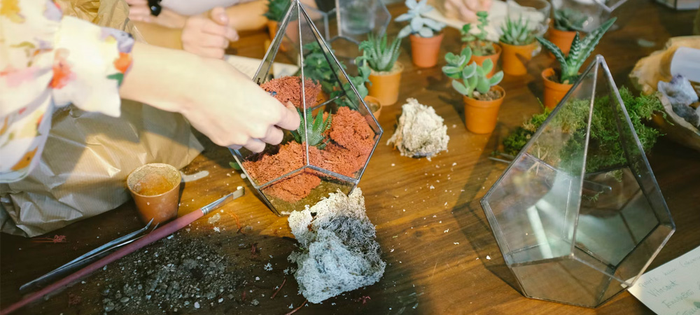 planting cactus on potting bench