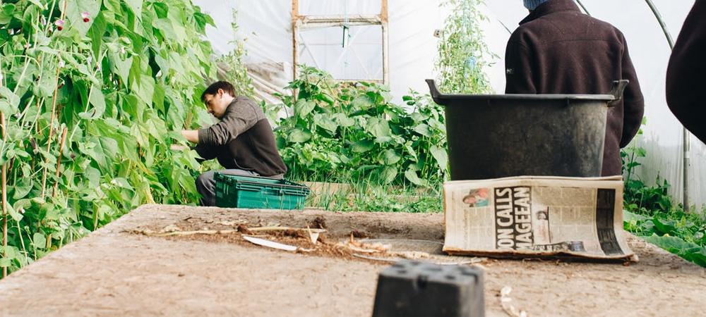 potting bench