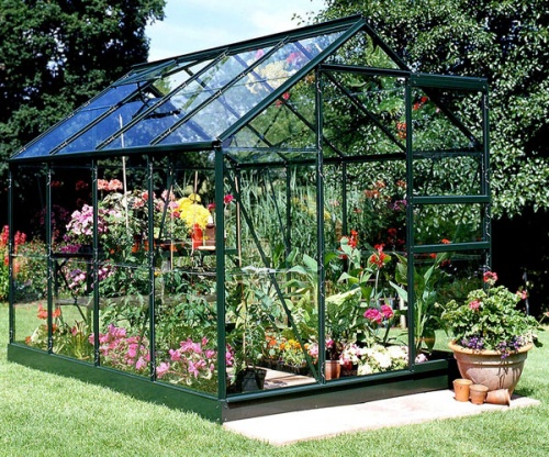 6 x 8 Halls Forest Green Popular