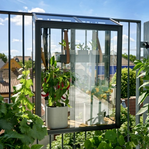 Aluminium Cold Frames for Sale UK 1 (Free Delivery)