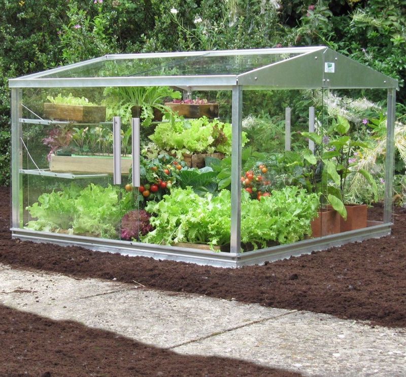 Access 4 x 4 Cold Frame - Toughened Glass