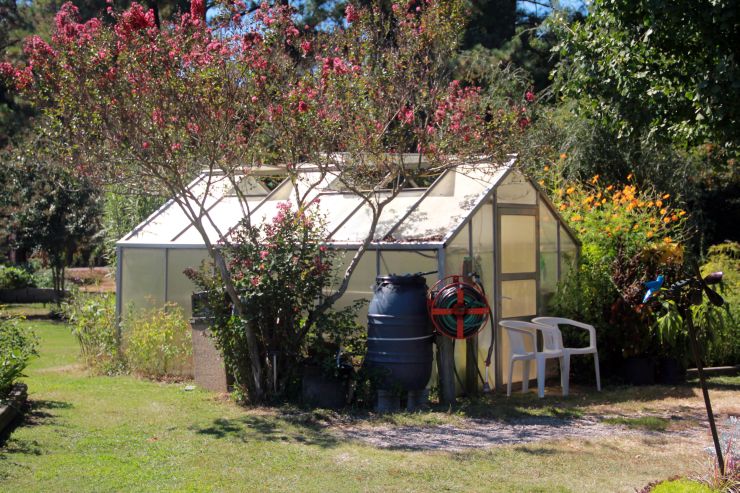 greenhouse